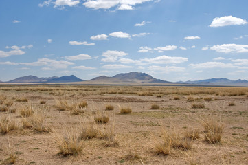 blue sky over the vast Mongolian steppes
