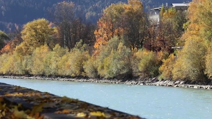 Colorful view of the Autumn leaves by the riverside in a sunny morning