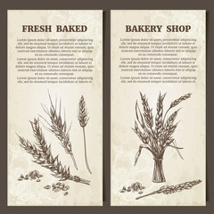 Bakery banner. Set of cards template. Hand drawn Wheat ears. Vector illustration in sketch style.