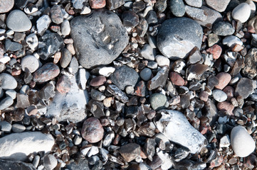 Feuersteine am Strand. Insel Rügen
