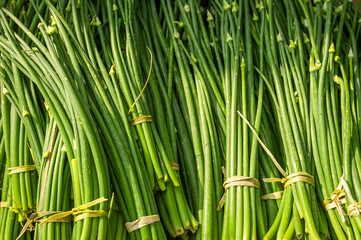 Fototapeta premium Organic garlic sprouts for sale at outdoor asian marketplace. Food background