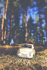 Miniature and caricature car is traveling around the world. The car is wondering across the forest.