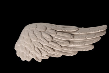 white plaster wing on a black background