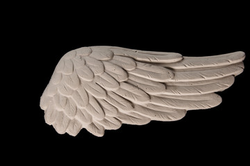 white plaster wing on a black background