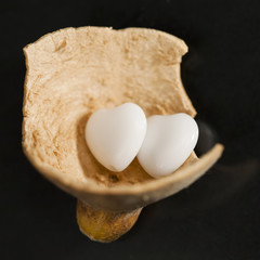 Pumpkin shell with heart shaped agate on black background