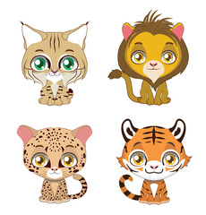 Cute illustration of four different big cats