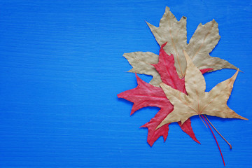Autumn background with dry leaves on wooden table