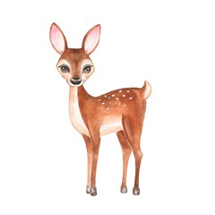 Baby Deer. Hand drawn cute deer. Cartoon illustration, isolated on white. Watercolor painting 
