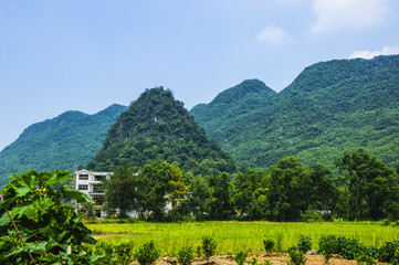 The karst mountains and rural scenery in summer