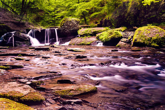 Bachlauf Wasser Wald