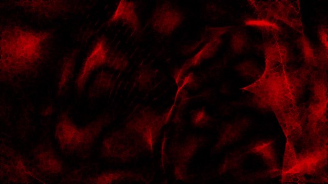 A looping abstract molecular cell background loop.