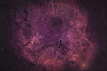 Elefantenrüsselnebel / Elephant's Trunk nebula