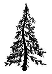 Vector silhouette of Christmas tree on a white background