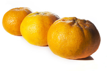 Tangerine fruit isolated on white background.