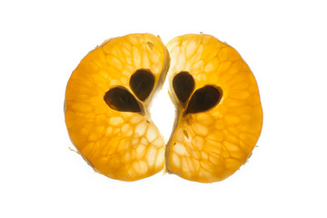 Light through a mandarin orange isolated on white background.