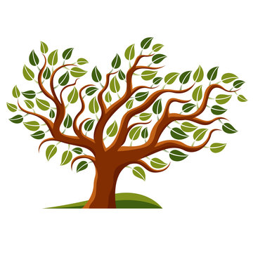 Vector illustration of stylized branchy tree isolated on white b