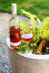 One glass and bottle of red or rose wine in autumn vineyard. Harvest time, picnic, fest theme.