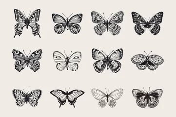 Fotobehang Set of butterflies. Vector vintage classic illustration. Black and white © OlgaKorneeva