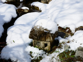 Frost covered Japanese garden, Kyoto Japan.