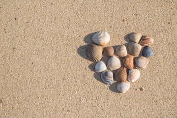 Fototapeta na wymiar Herz aus Muscheln im Sand