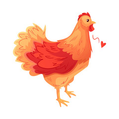 Full body of orange brown hen, cartoon vector illustration isolated on white background. Side view of colorful, cute brown hen, standing on white background