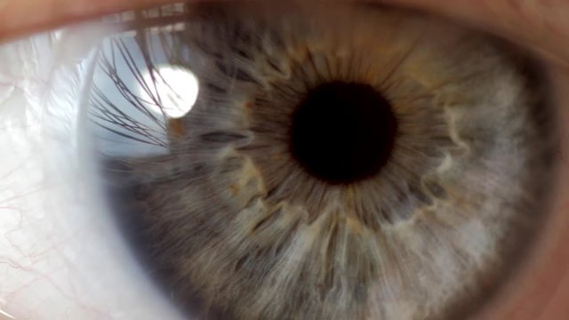 
Closeup of blue male eye with contact lens looking at camera. Selective focus. Toned.