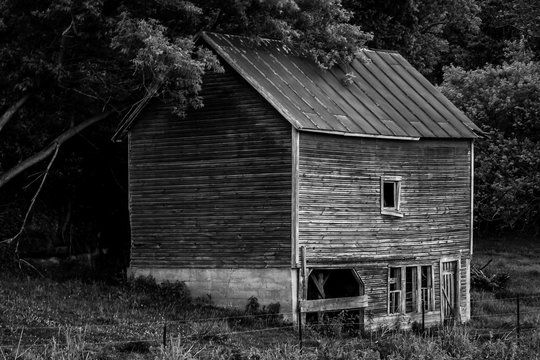 Old Barn / Shed - Black and White