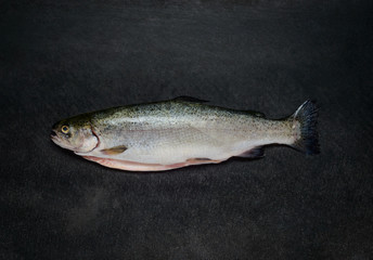 Fresh Trout Fish on Dark Background