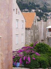 Fototapeta na wymiar dubrovnik, Croatia, 06/06/2016 Dubrovnik old town croatia, rooftop view and pretty plants