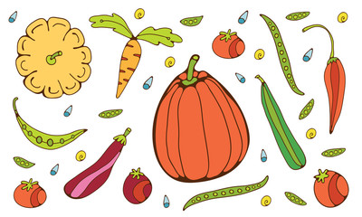 Colorful hand drawn vegetables set