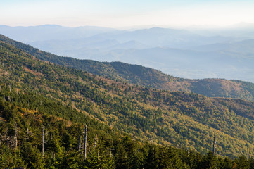 Obraz premium Mount Mitchell State Park