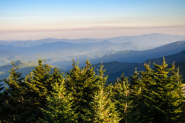 Mount Mitchell State Park