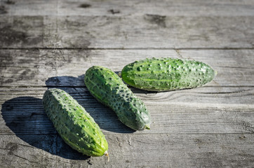Green cucumbers on old wooden table