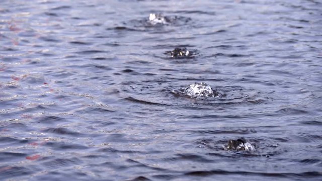 Wasser Quelle mit Sprudel als Hintergund Motiv