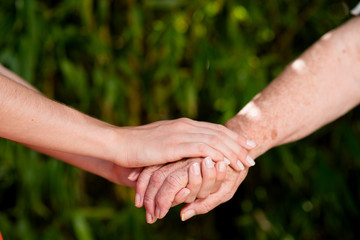 close up of young woman hand holding with tenderness an elderly senior person hands