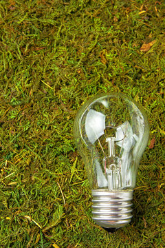 Concept ecology. Light bulb on green natural moss with copy space