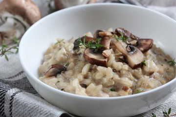 Mushroom Risotto served in a bowl, selective focus