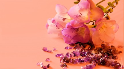 Freesias and amethysts on pink background