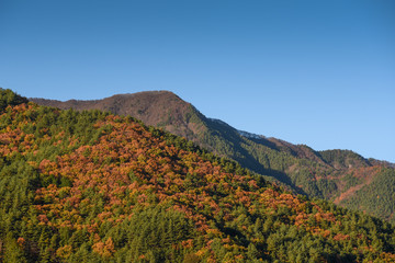 Fototapeta na wymiar mountain landscape in autumn of Kawaguchiko