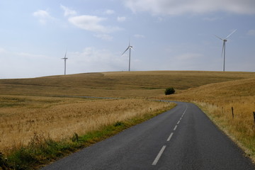Pale eoliche