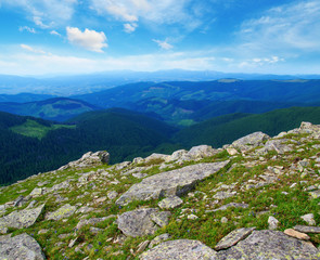 Mountain landscape in the summer