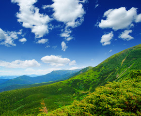 Mountain landscape in the summer