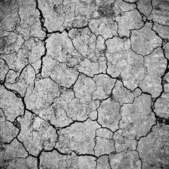 Black and white dry land