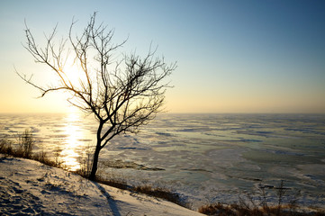 Fototapeta na wymiar Winter landscape on sunrise