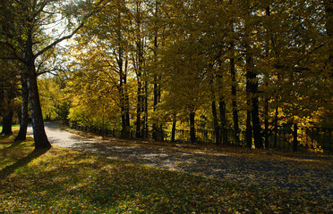 Colorful autumn landscape.Nature background. Marfino, Moscow Region, Russia.