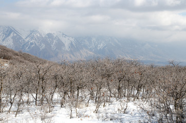 Snow covered mountains in Utah. USA