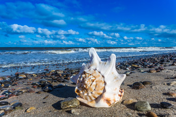 Ostseestrand