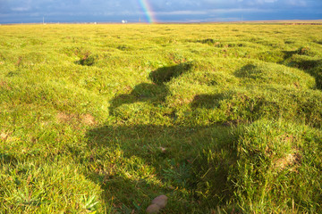 Green grass and a rainbow in the distance