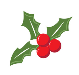 Vector of Holly berry leaves for Christmas