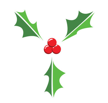 Vector of Holly berry leaves for Christmas